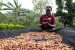 In coffee-producing Uganda, an emerging sisterhood wants more women involved